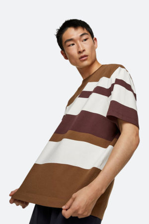 Brown T-shirt Sleeve